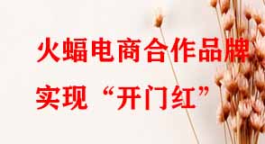 火蝠電商合作品牌實(shí)現(xiàn)開門紅